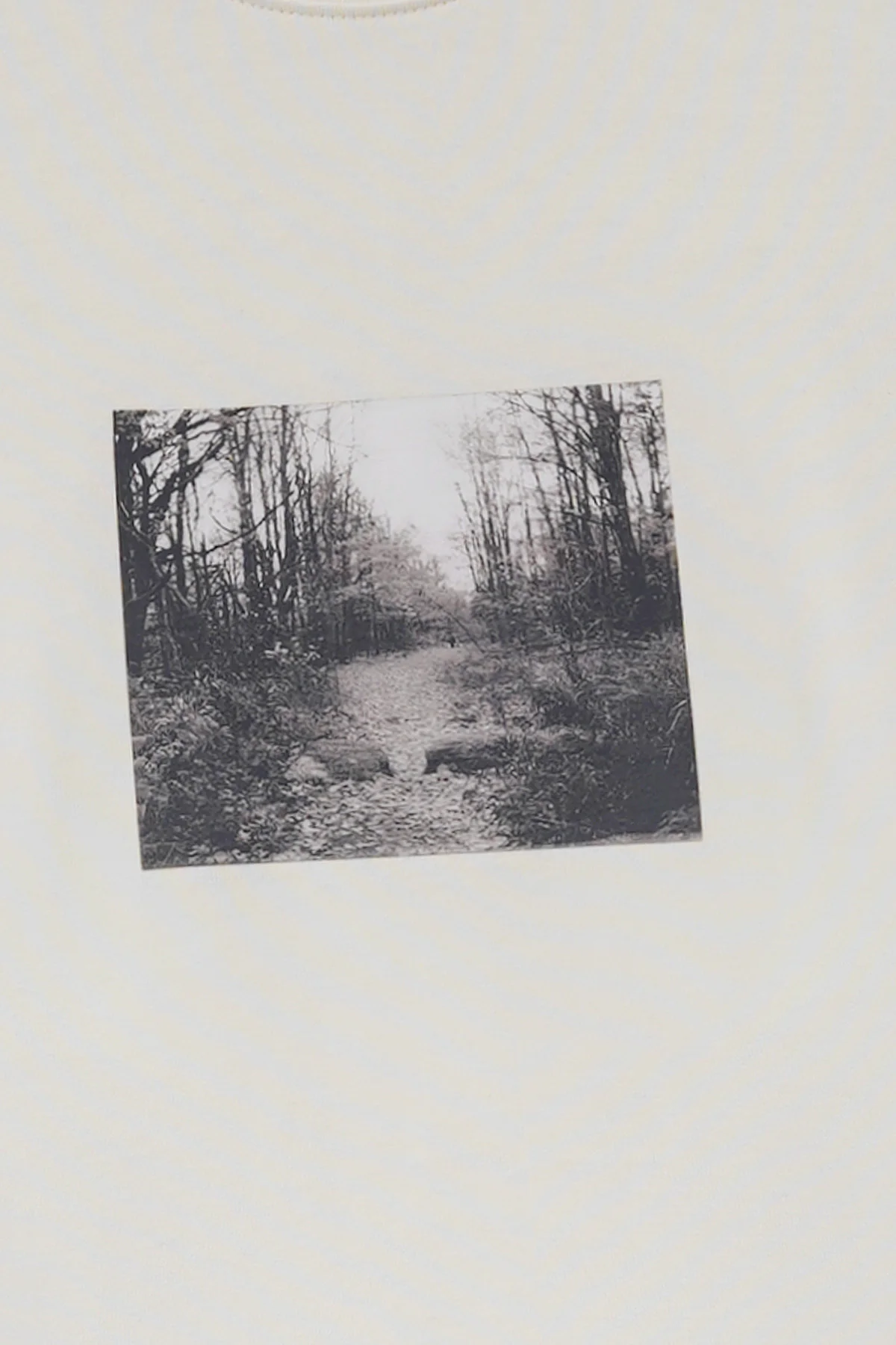 VINTAGE PRINT TEE - Image 6